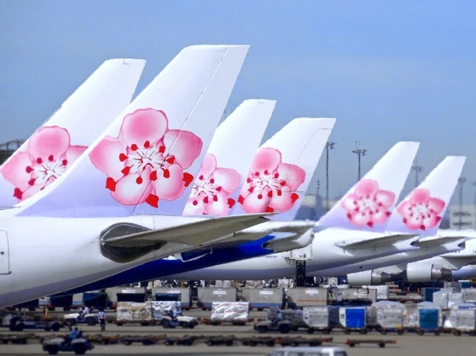 Hoa mơ ta hiện là biểu tượng / logo của 中華航空公司/ Trung Hoa hàng không công ty / China Airlines.