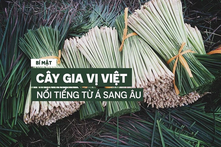 Bí mật về 1 "kho báu" luôn sẵn trong bếp của người Việt, nổi tiếng khắp từ Á sang Âu