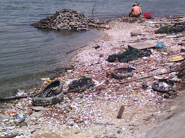 nuoi hau bang lop xe: tra gia bang can benh ung thu? hinh anh 1