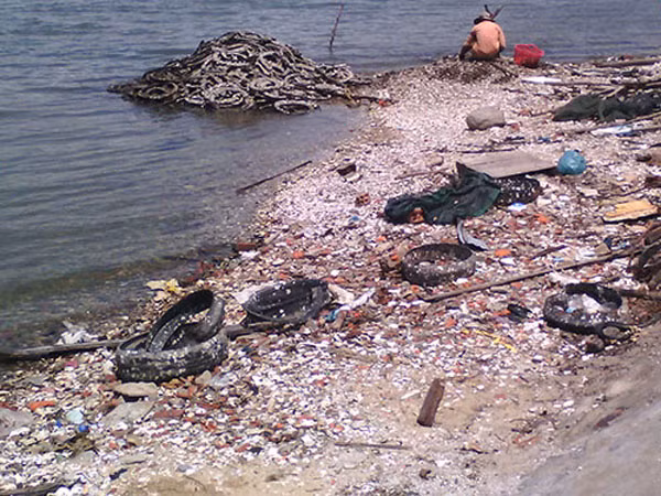 nuoi hau bang lop xe: tra gia bang can benh ung thu? hinh anh 1