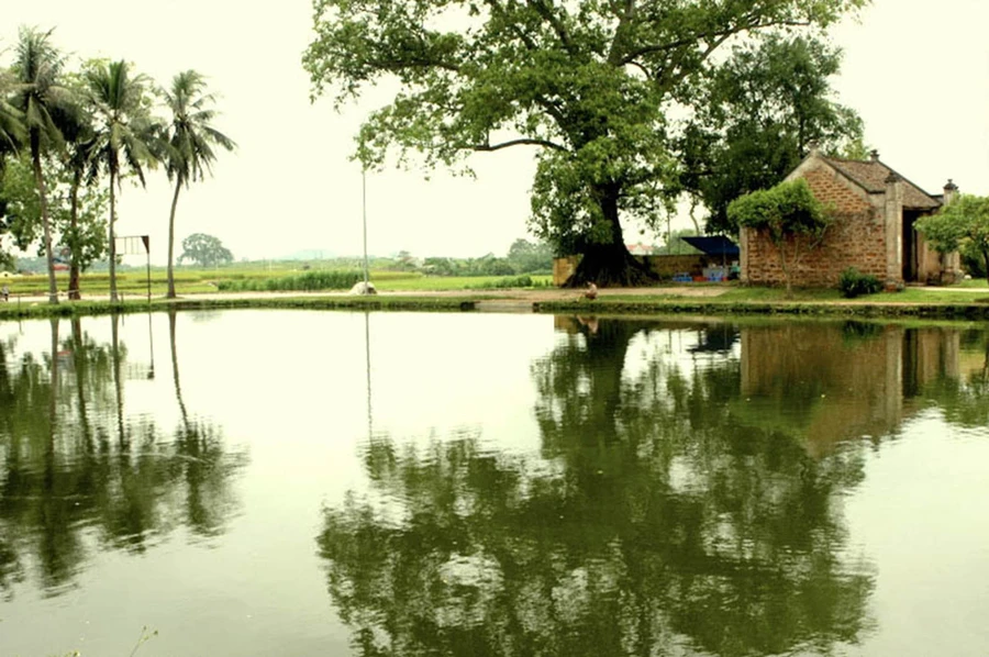 “Thu điếu” tạo dựng được một bức tranh điển hình cho cảnh làng quê Việt. Ảnh minh họa: IT