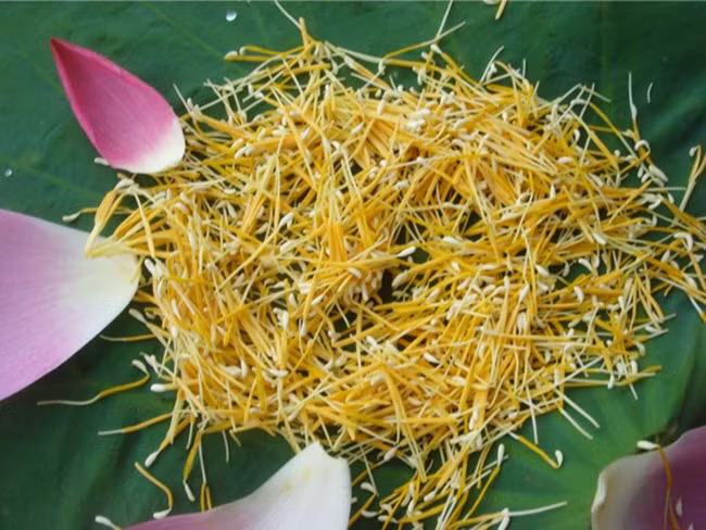 BS Nhi mách mẹ 6 món ăn chữa đái dầm ở trẻ, khỏi lo tái phát