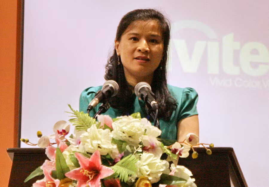 TS Vũ Thị Tú Anh phát biểu tại Hội thảo