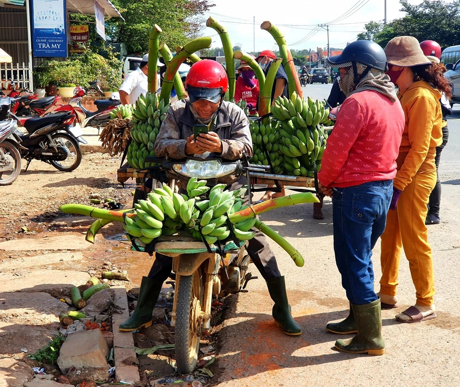 Việc buôn bán diễn ra từ sáng sớm đến chiều muộn.