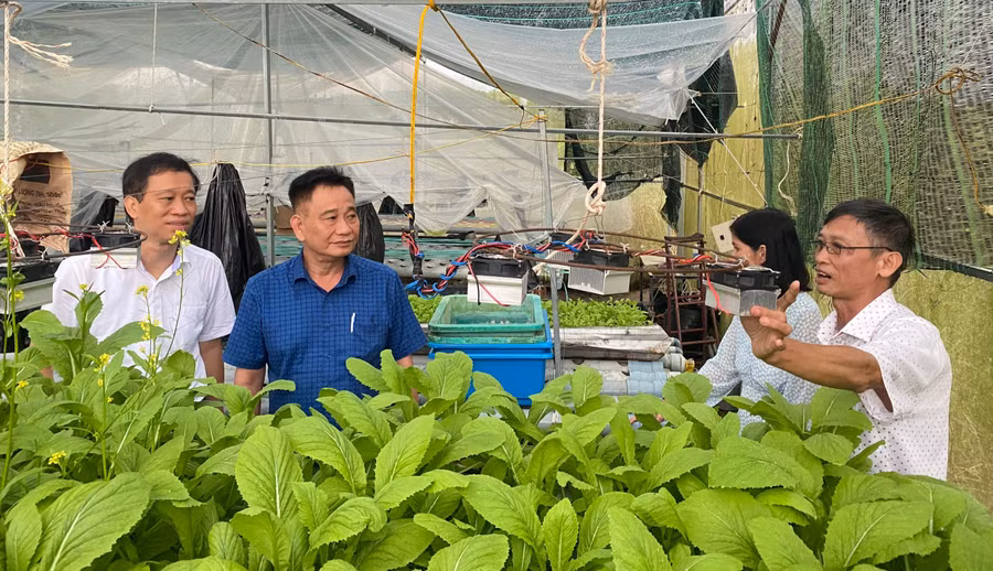 Khảo sát thực nghiệm nghiên cứu khoa học tại Trường ĐH Kiên Giang. Ảnh: NTCC