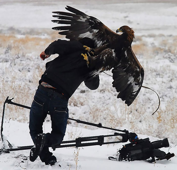 dedicated-photographers-24__700. dedicated-photographers-24__700.