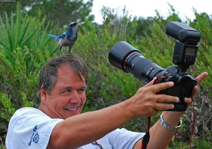 extreme-photographers-65__700. extreme-photographers-65__700.