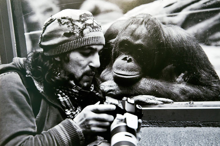 dedicated-photographers-19__700. dedicated-photographers-19__700.