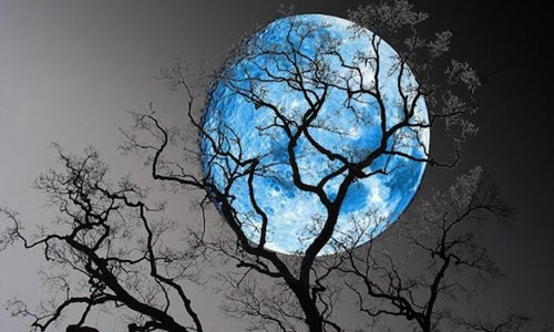 Những sự thật thú vị về Mặt trăng ảnh 7 Những sự thật thú vị về Mặt trăng ảnh 7