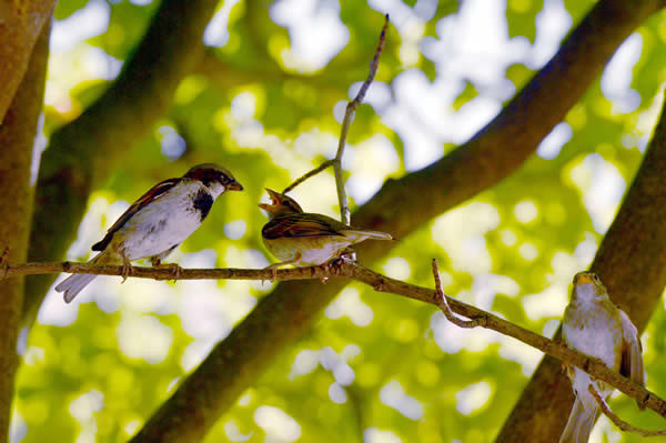 Ảnh minh họa ITN. Ảnh minh họa ITN.