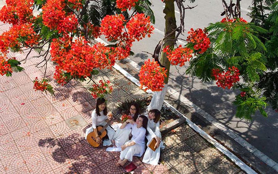 Ảnh minh họa ITN. Ảnh minh họa ITN.