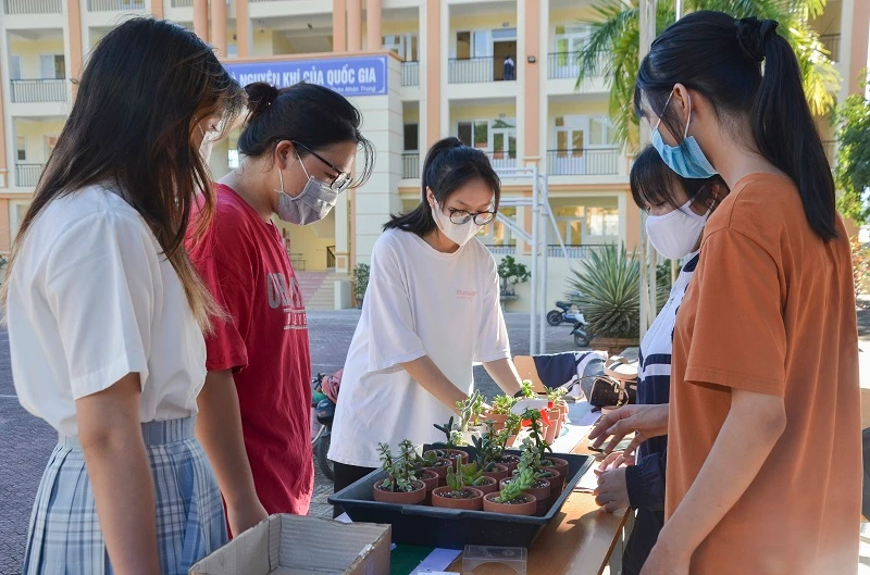 Hoạt động thu hút rất đông bạn trẻ thành phố tham gia.