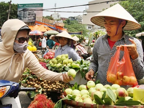 Đào Trung Quốc “gắn mác” đào Sa Pa đổ về Hà Nội