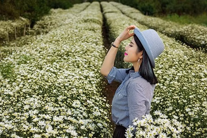 Những cách tạo dáng chụp ảnh tuyệt đẹp với cúc họa mi