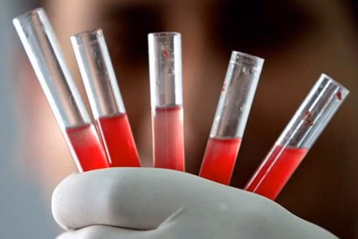 Tạo được tế bào máu và tế bào miễn dịch từ tế bào da