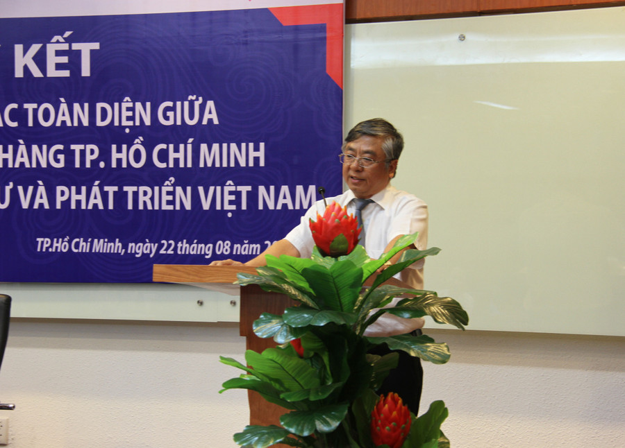 Tiết lộ bất ngờ của Chủ tịch tỉnh Bình Định về nguồn tài nguyên tỷ đô ảnh 3 Tiết lộ bất ngờ của Chủ tịch tỉnh Bình Định về nguồn tài nguyên tỷ đô ảnh 3