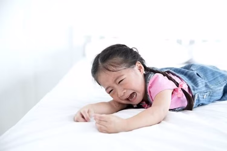 Cha mẹ không nên phân tích lý lẽ khi con ăn vạ. Ảnh minh họa.