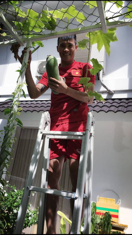Công Vinh hóa chồng đảm đang sau khi giải nghệ khiến fan ngưỡng mộ - Ảnh 1 Cong Vinh hoa chong dam dang sau khi giai nghe khien fan nguong mo - Anh 1