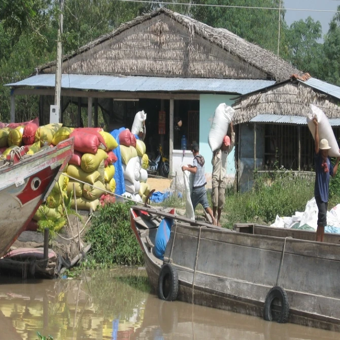 “Nữ tướng” cầm đầu băng cướp Sọ Người sa lưới