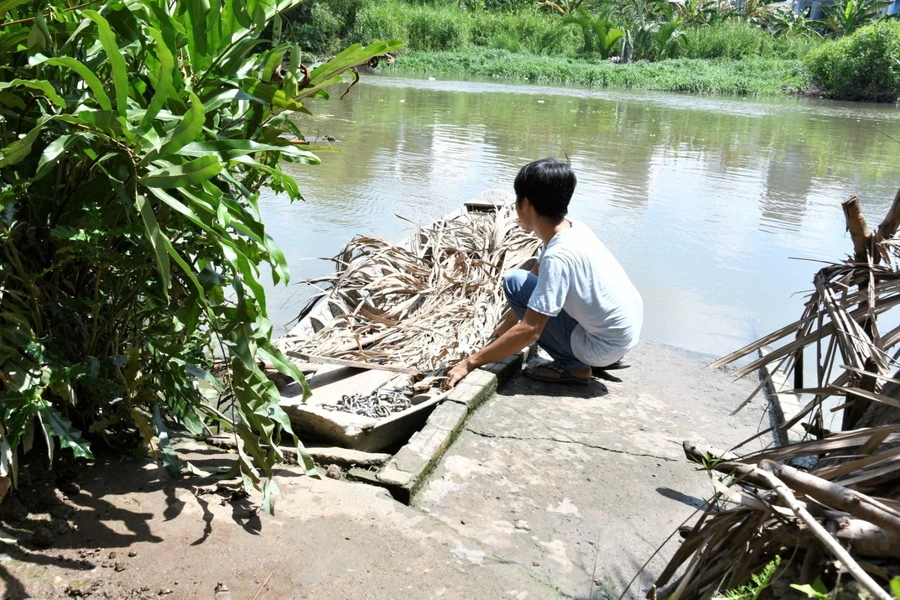 Để tới được nơi Trầm ở, phải đi đò qua rạch Bà Lớn, xã Phong Phú, H.Bình Chánh