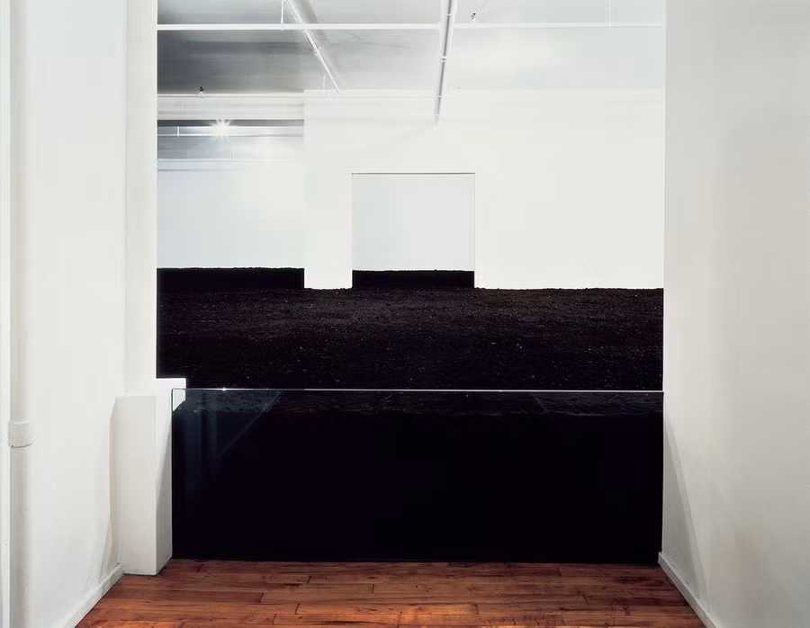 Căn phòng chứa đầy 140 tấn bụi bẩn.