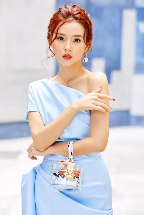 Dàn sao Việt nổi tiếng theo đuổi "sự nghiệp trồng người" ảnh 1