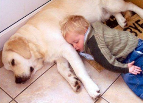 Cười rách miệng với các kiểu ngủ đáng yêu của bé ảnh 4 cuoi rach mieng voi cac kieu ngu dang yeu cua be - 4