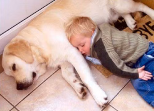 cuoi rach mieng voi cac kieu ngu dang yeu cua be - 4