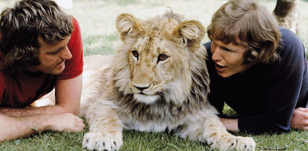 Những tình bạn có thật giữa con người và động vật khiến ai cũng cảm động ảnh 2