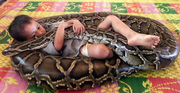 Những tình bạn có thật giữa con người và động vật khiến ai cũng cảm động ảnh 7