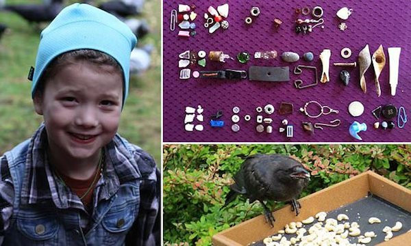 Những tình bạn có thật giữa con người và động vật khiến ai cũng cảm động ảnh 1