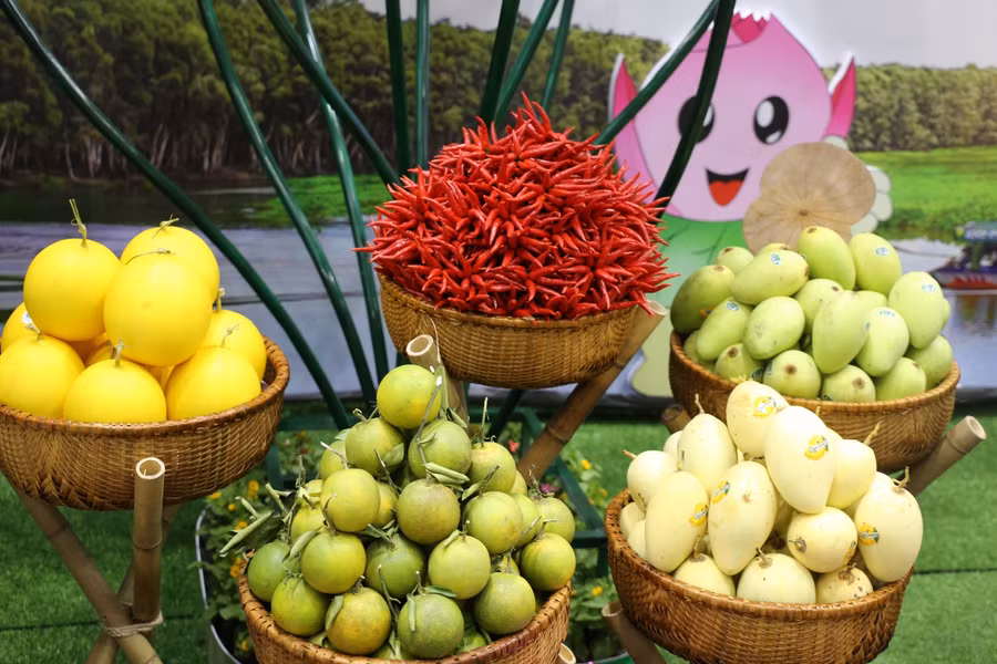 Những hoa quả tiêu biểu tại Đồng Tháp.