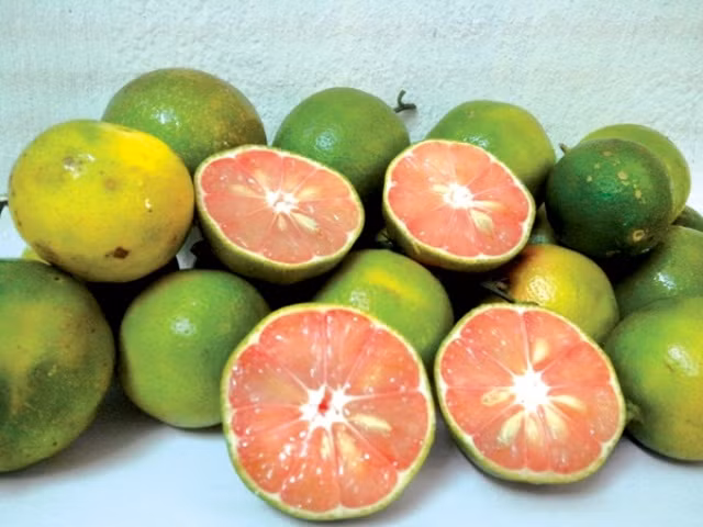 Cách làm chanh đào ngâm mật ong