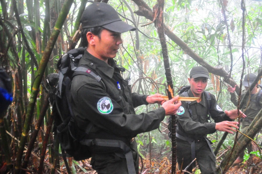 Cán bộ Quỹ bảo tồn thiên nhiên thế giới WWF đang gỡ bẫy thú quý tại Khu bảo tồn Sao la Huế