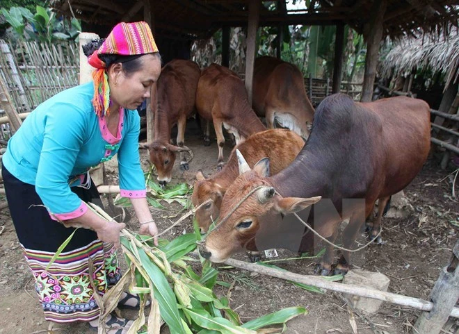 Nghiên cứu xây dựng chuẩn nghèo mới theo hướng đa chiều