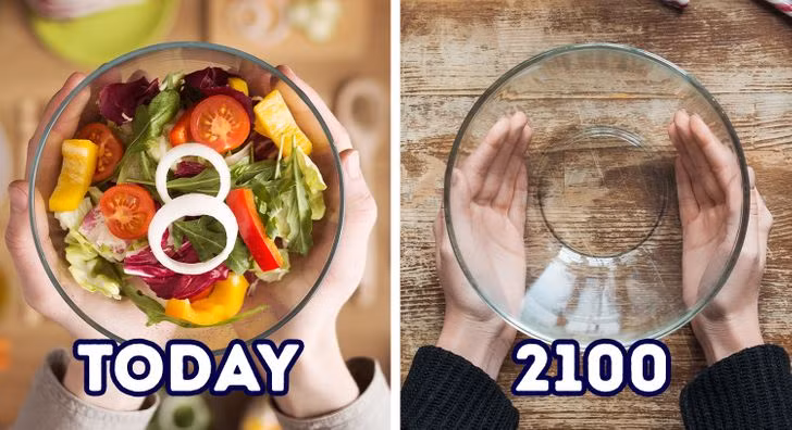 Những thay đổi có thể khiến thế giới không thể nhận ra vào năm 2100 ảnh 5