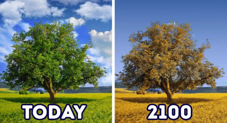 Những thay đổi có thể khiến thế giới không thể nhận ra vào năm 2100 ảnh 7