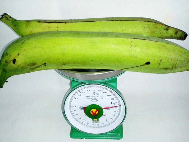 Hai quả chuối tá quạ nặng hơn 1kg. (Ảnh: Zing) Hai quả chuối tá quạ nặng hơn 1kg. (Ảnh: Zing)