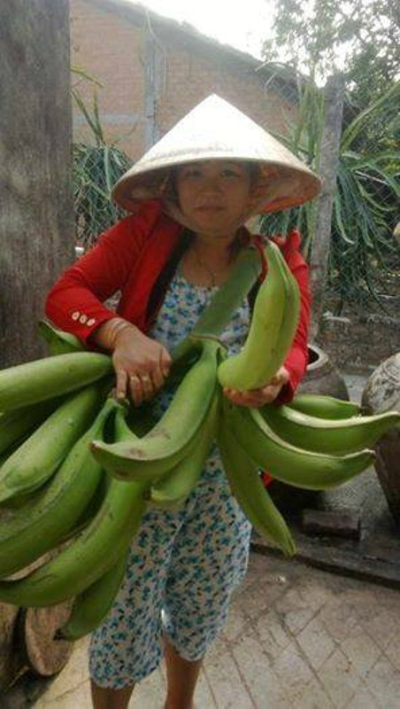 Ảnh: Người lao động Ảnh: Người lao động