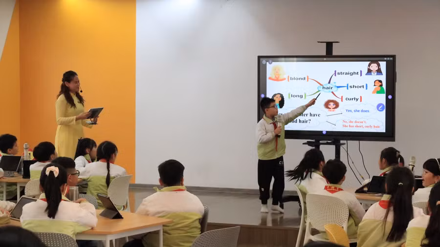 Học sinh trình bày dự án nhóm.