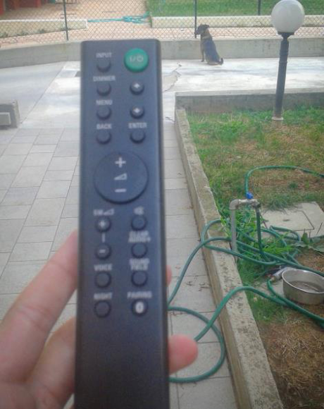 Cuoi ra nuoc mat voi nhung khoanh khac chua gia da lan cua cac me bau - Anh 8