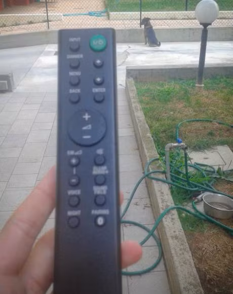 Cuoi ra nuoc mat voi nhung khoanh khac chua gia da lan cua cac me bau - Anh 8