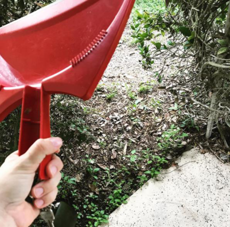 Cuoi ra nuoc mat voi nhung khoanh khac chua gia da lan cua cac me bau - Anh 7