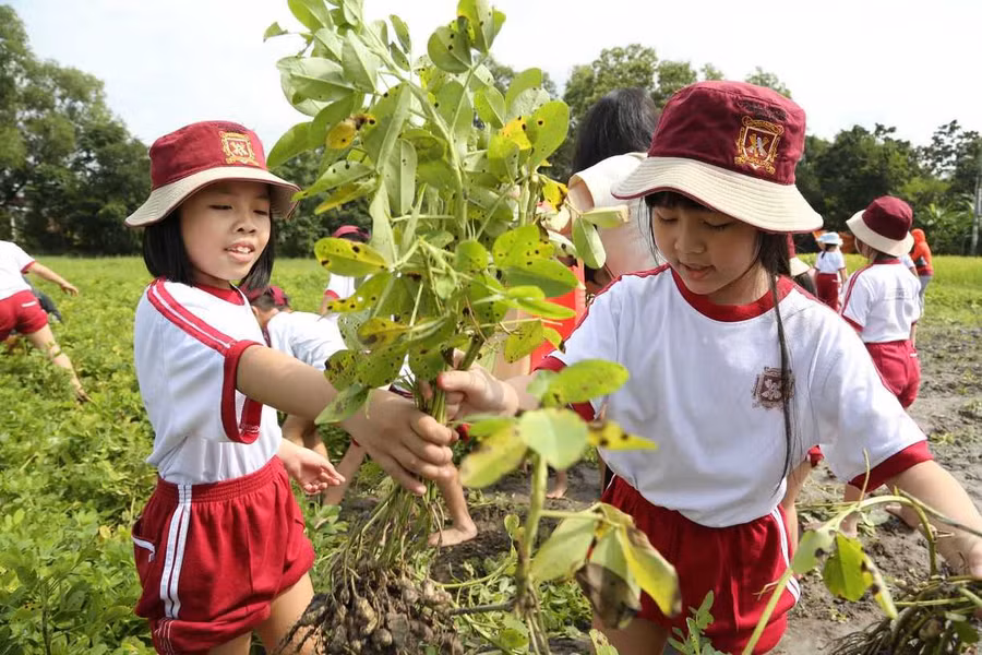 Ảnh minh họa/internet