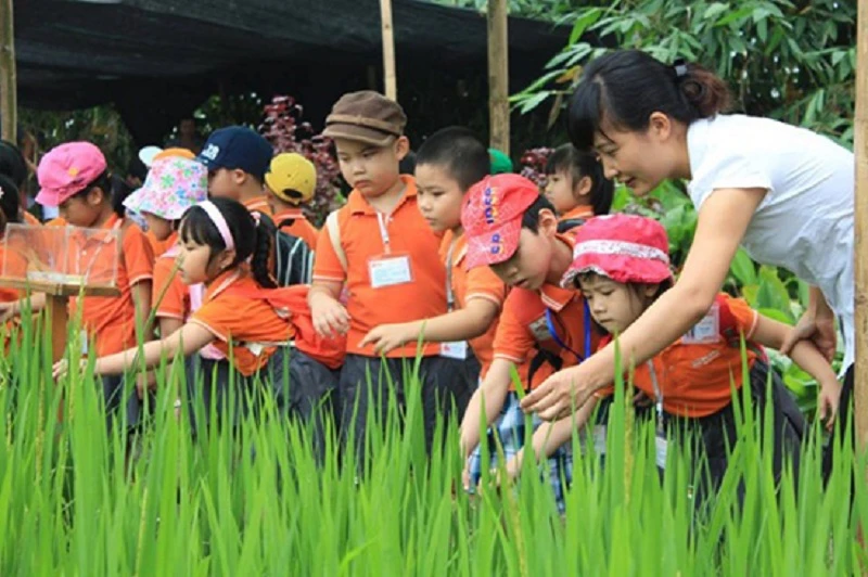 Hoạt động trải nghiệm trong vườn là cách giúp con trẻ gần gũi với thiên nhiên và yêu lao động. Ảnh minh họa.