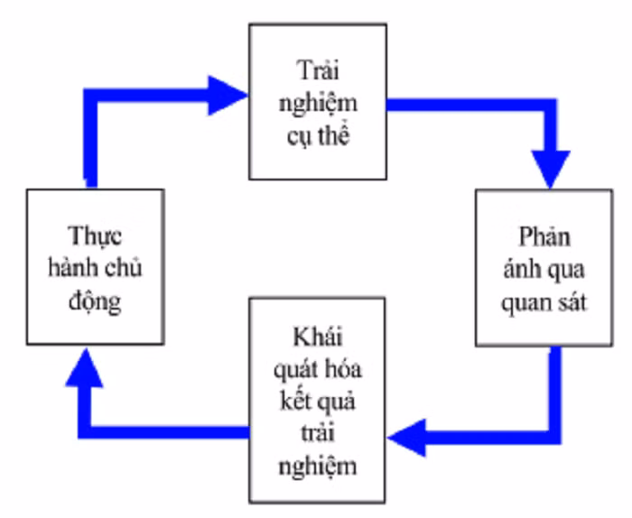 Sơ đồ Mô hình trải nghiệm (Kolb, 1984).