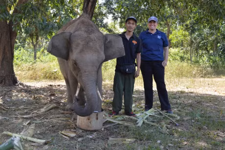 Ngam nhung chu voi con dang yeu o Ban Don - Anh 4