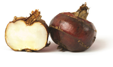 Củ năng Cu nang