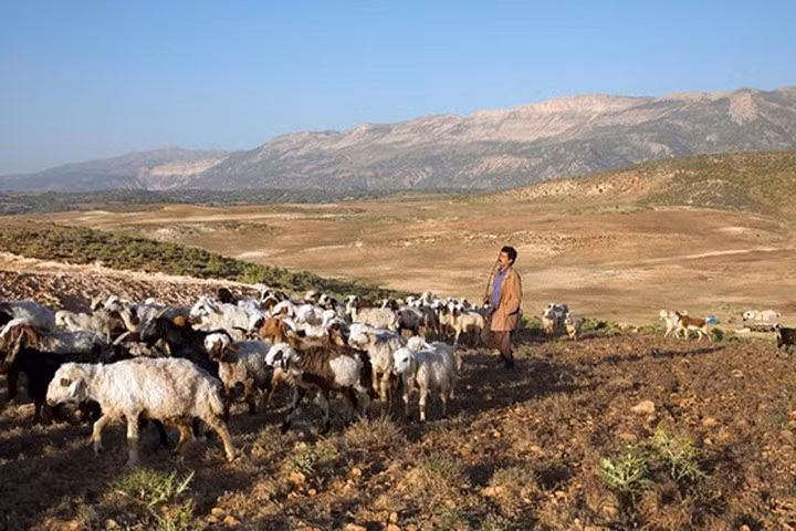 Bộ lạc du mục cuối cùng ở Iran