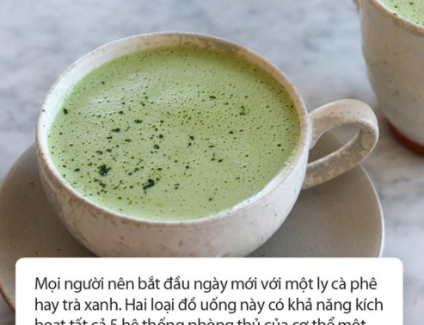 Chuyên gia ĐH Harvard tiết lộ cách ăn uống hàng ngày để phòng bệnh, rất nhiều điều bạn chưa từng nghe thấy
